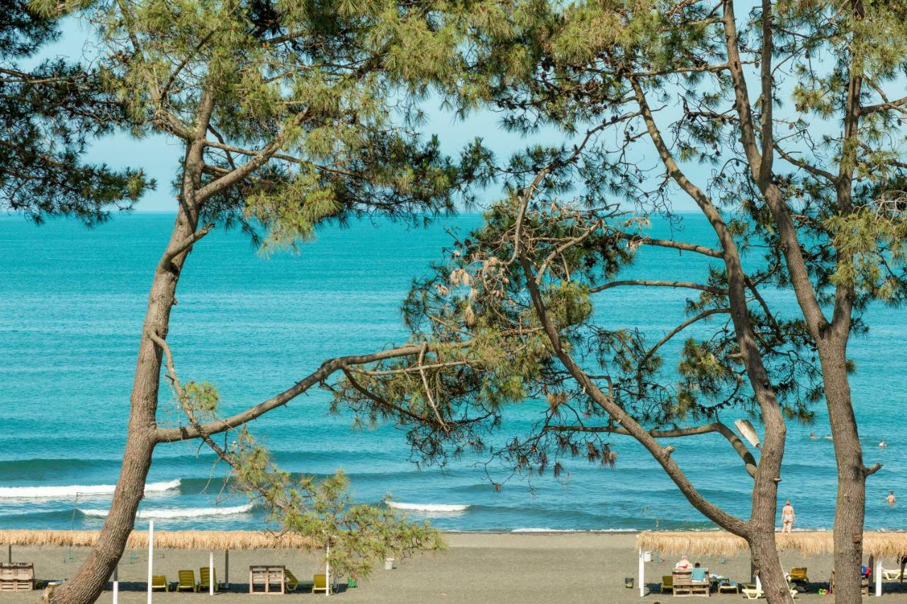 Kolkhida Resort & Spa يوريكي المظهر الخارجي الصورة